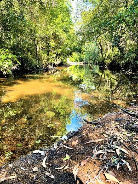 Second view of Homely rural property listing, 127 Junction Mountain Road, South Isis QLD 4660