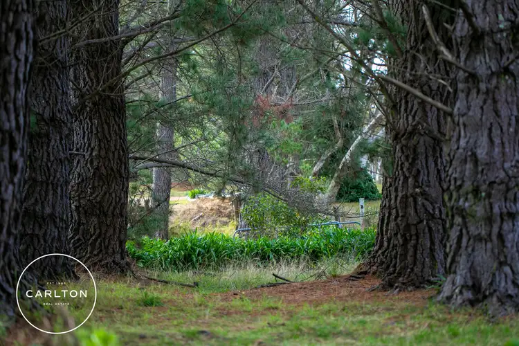 Third view of Homely house listing, 28 Beech Street, Colo Vale NSW 2575