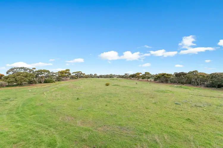Main view of Homely land listing, LOT 20 Cemetery Road, Callington SA 5254