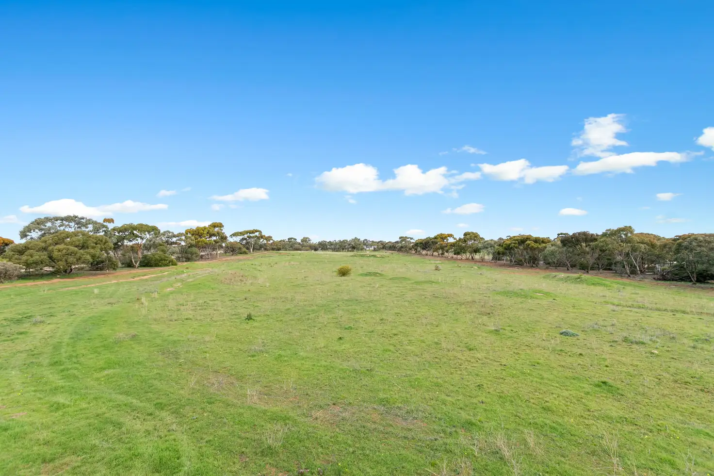 Main view of Homely land listing, LOT 20 Cemetery Road, Callington SA 5254