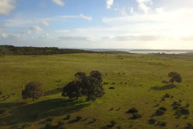 Main view of Homely rural property listing, Lot 199 Farm Beach Road, Wangary SA 5607