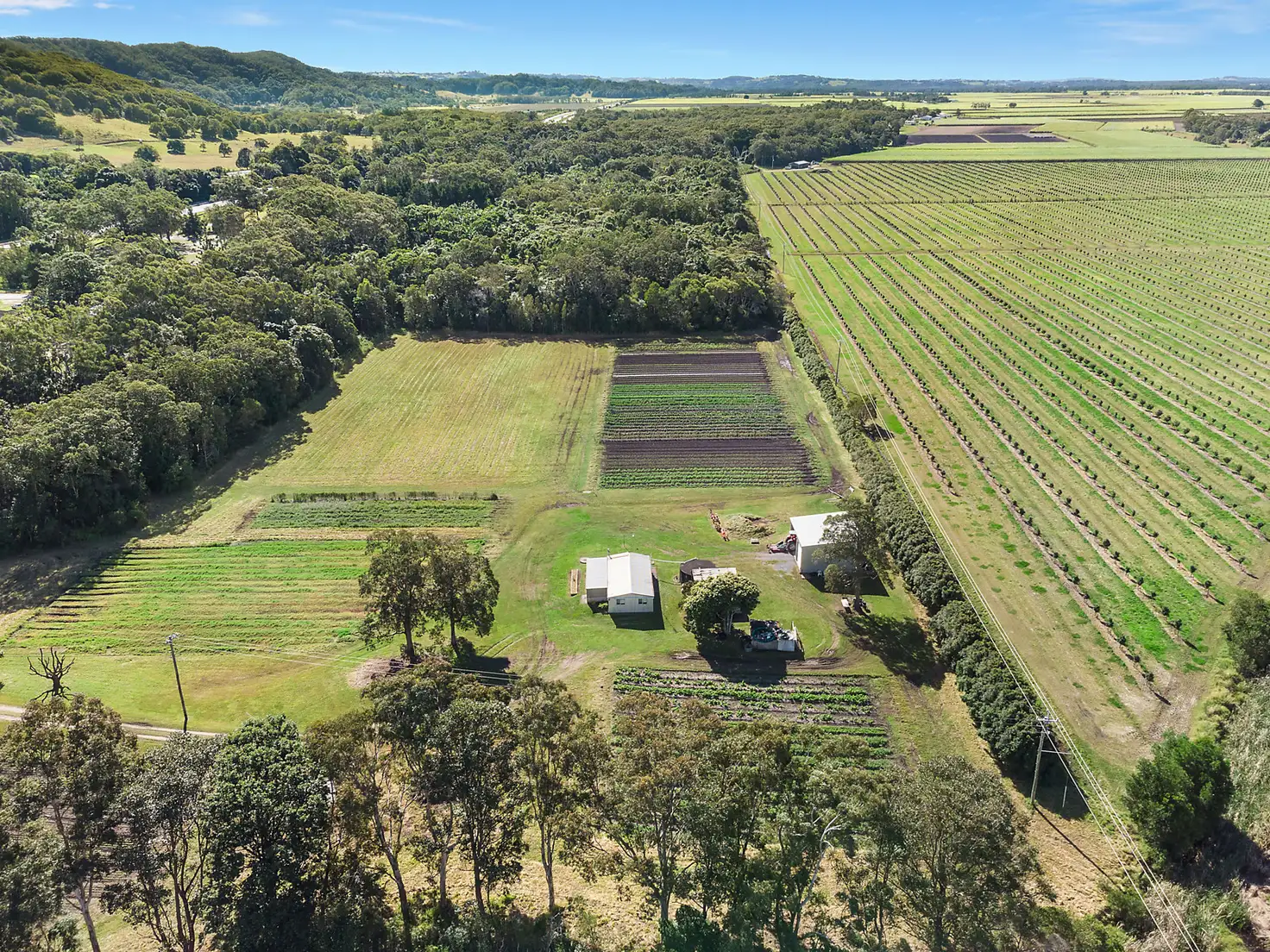 Main view of Homely rural property listing, 771 Pimlico Road, Pimlico NSW 2478
