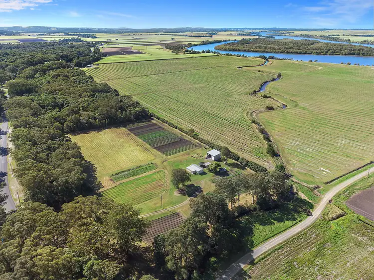 Second view of Homely rural property listing, 771 Pimlico Road, Pimlico NSW 2478