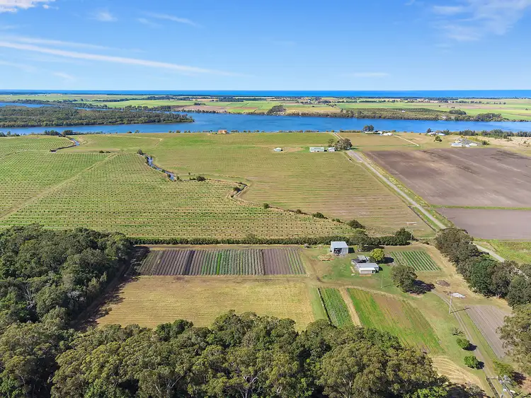 Third view of Homely rural property listing, 771 Pimlico Road, Pimlico NSW 2478