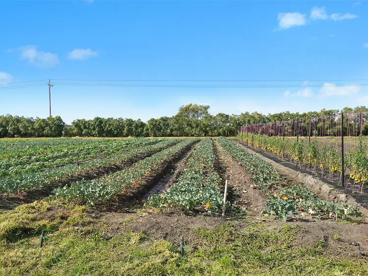 Fifth view of Homely rural property listing, 771 Pimlico Road, Pimlico NSW 2478