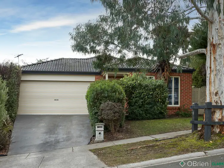 Main view of Homely house listing, 5 Eucalypt Court, Drouin VIC 3818