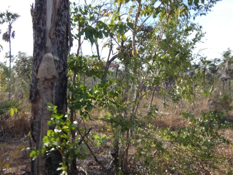 Sixth view of Homely land listing, 75 Milne Road, Bynoe NT 822