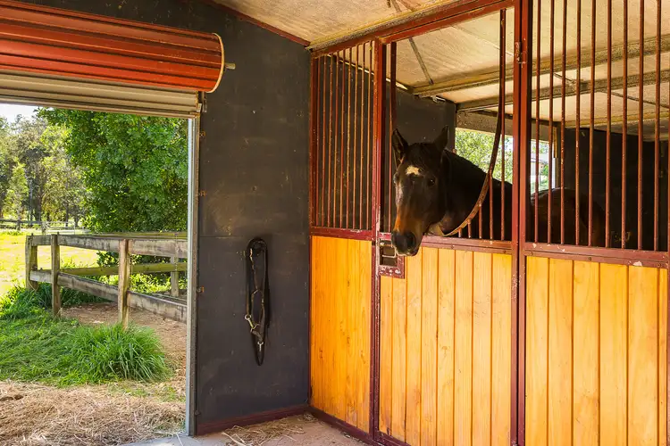 Sixth view of Homely house listing, 14 Butterfly Crescent, Samsonvale QLD 4520