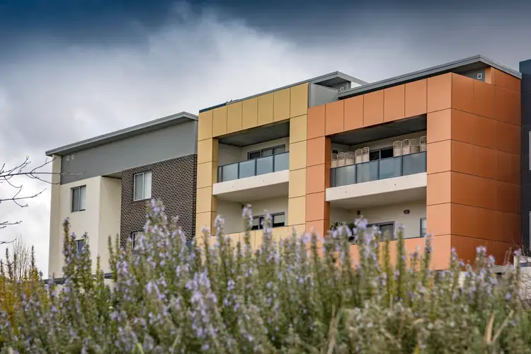 6/2 Serventy Street, Wright ACT 2611