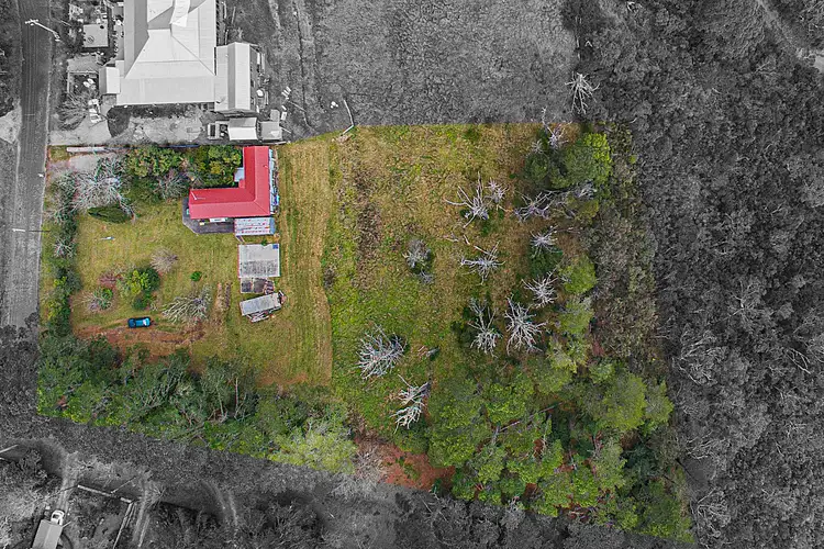 Sixth view of Homely rural property listing, 50 Nelson Avenue, Wentworth Falls NSW 2782