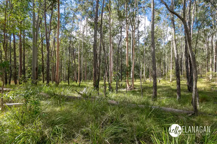 Main view of Homely rural property listing, Lot 1082 Ridge Lane, Deep Creek NSW 2440