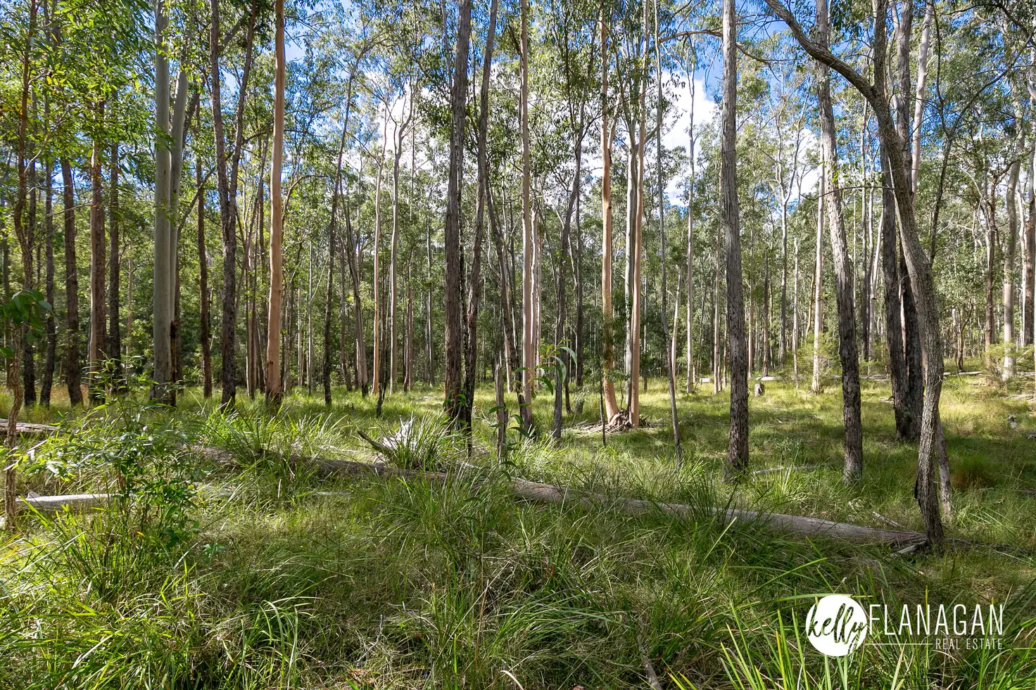 Main view of Homely rural property listing, Lot 1082 Ridge Lane, Deep Creek NSW 2440
