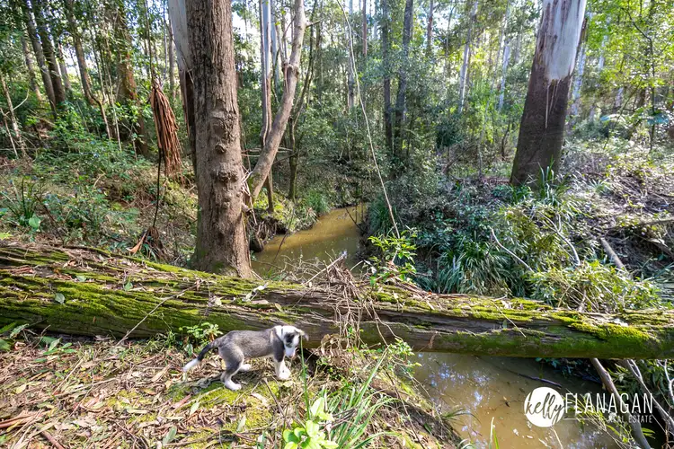 Fourth view of Homely rural property listing, Lot 1082 Ridge Lane, Deep Creek NSW 2440