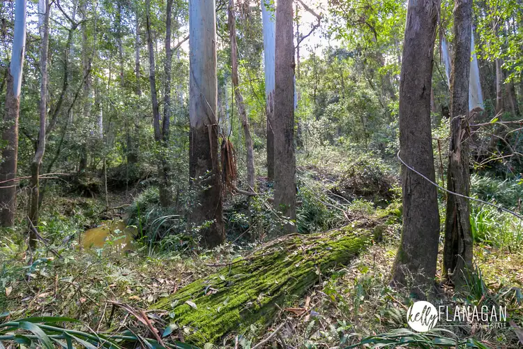 Sixth view of Homely rural property listing, Lot 1082 Ridge Lane, Deep Creek NSW 2440