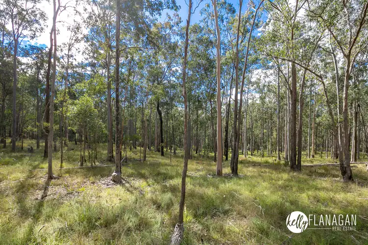 Seventh view of Homely rural property listing, Lot 1082 Ridge Lane, Deep Creek NSW 2440