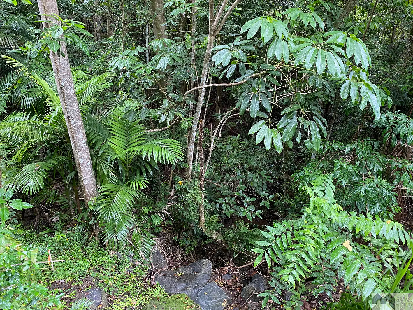 Main view of Homely land listing, 142 Hearl Close, Brinsmead QLD 4870