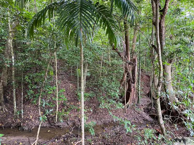 Fifth view of Homely land listing, 142 Hearl Close, Brinsmead QLD 4870