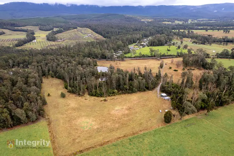 Second view of Homely rural property listing, 990 Maroondah Highway, Narbethong VIC 3778