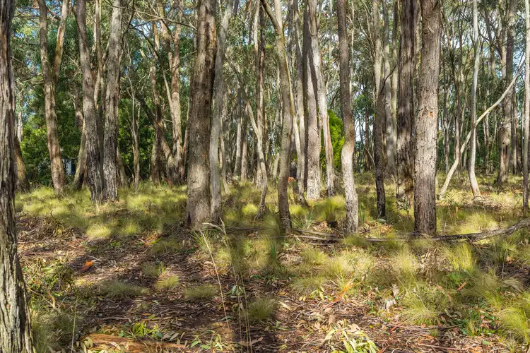 Fourth view of Homely land listing, 71 Acacia Avenue, Dales Creek VIC 3341