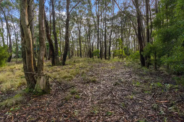 Fifth view of Homely land listing, 71 Acacia Avenue, Dales Creek VIC 3341