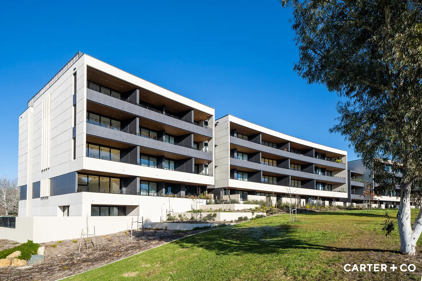 Main view of Homely apartment listing, 37/7 State Circle, Forrest ACT 2603