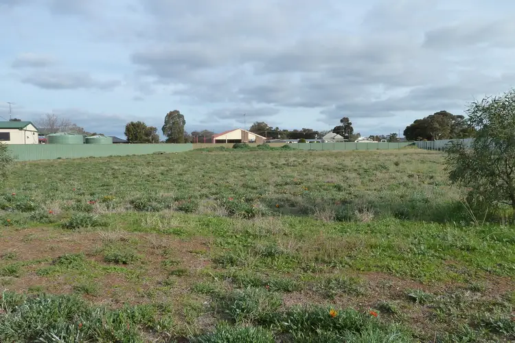Main view of Homely rural property listing, 52 Davies Street, Charlton VIC 3525