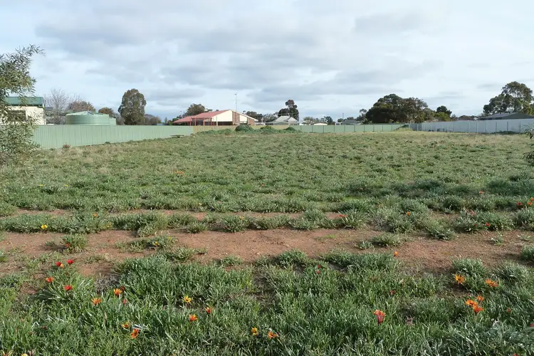 Third view of Homely rural property listing, 52 Davies Street, Charlton VIC 3525
