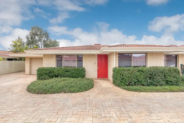 Main view of Homely villa listing, 31C Kimberley Street, Belmont WA 6104