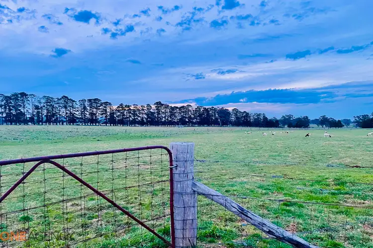 222 Spring Hill Road, Spring Hill NSW 2800