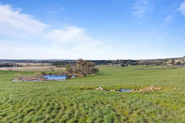 Main view of Homely house listing, 451 Spratlings Road, Ross Creek VIC 3351
