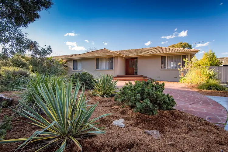 Main view of Homely house listing, 31 Barritt Street, Kambah ACT 2902