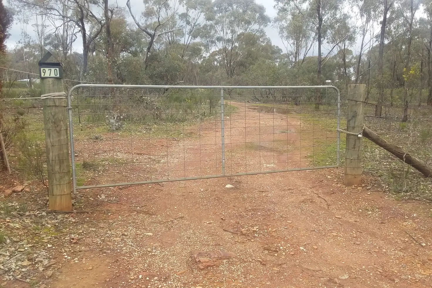 Main view of Homely rural property listing, 970 Timor-Bromley Road, Bet Bet VIC 3472
