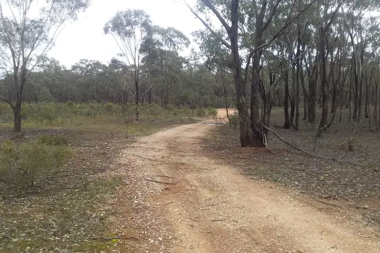 Third view of Homely rural property listing, 970 Timor-Bromley Road, Bet Bet VIC 3472