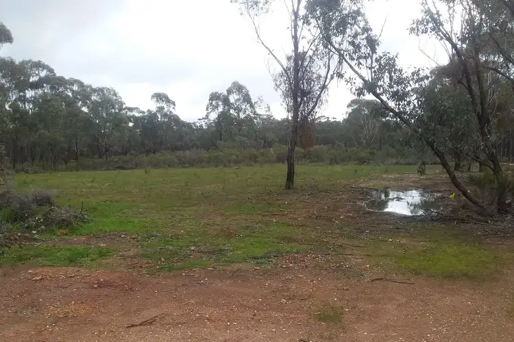 Fifth view of Homely rural property listing, 970 Timor-Bromley Road, Bet Bet VIC 3472