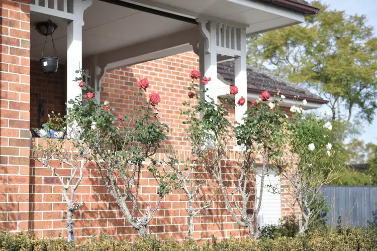 Third view of Homely house listing, 37A Hinemoa Avenue, Normanhurst NSW 2076
