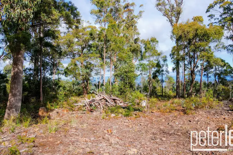 Seventh view of Homely land listing, Lot 1, 887 Lilydale Road, Underwood TAS 7268