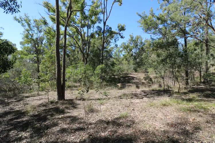Sixth view of Homely land listing, 89 Chappell Hills Road, South Isis QLD 4660