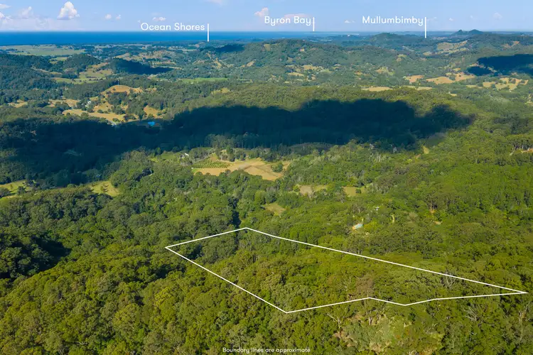 Main view of Homely land listing, 81 Dixons Road, Burringbar NSW 2483