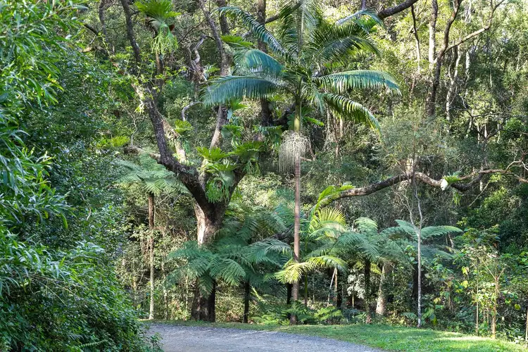 Second view of Homely land listing, 81 Dixons Road, Burringbar NSW 2483