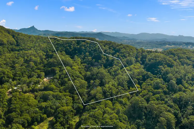 Fourth view of Homely land listing, 81 Dixons Road, Burringbar NSW 2483