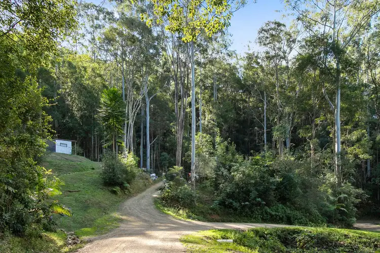 Seventh view of Homely land listing, 81 Dixons Road, Burringbar NSW 2483