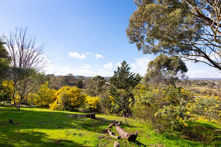 120 Lyttleton Street, Castlemaine VIC 3450