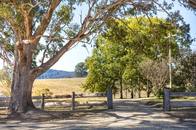 Fifth view of Homely house listing, 1230 Chichester Dam Road, Bandon Grove NSW 2420