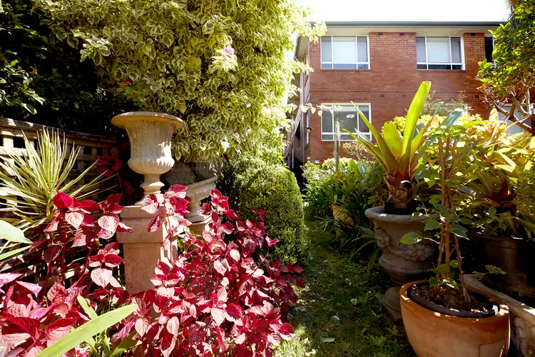Main view of Homely apartment listing, 2/202 Penshurst Street, Willoughby NSW 2068