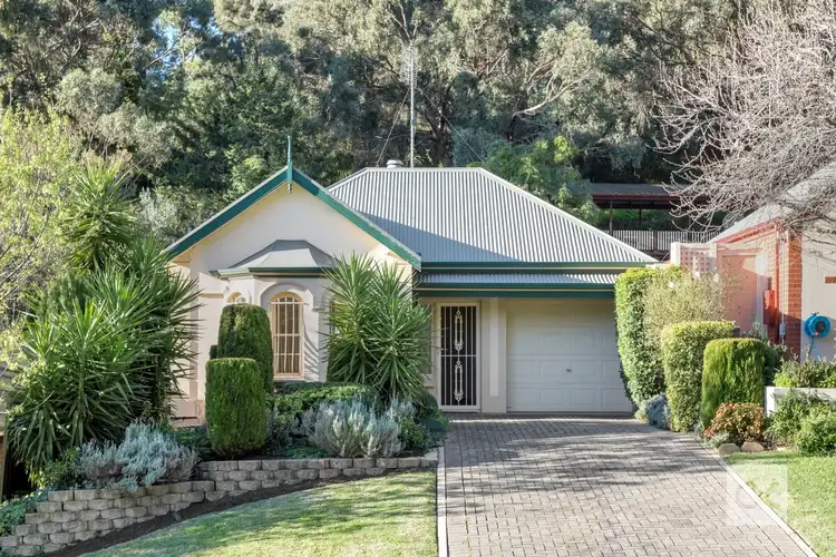 14 John Fisher Drive, Torrens Park SA 5062