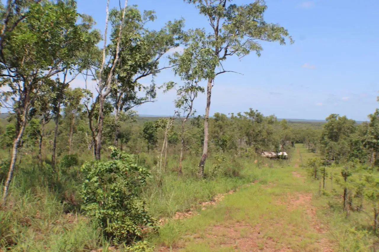 Main view of Homely land listing, 530 Miles Road, Batchelor NT 845