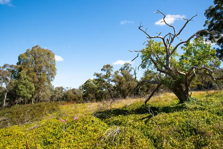 Fourth view of Homely land listing, LOT CA 3-7 & C Vaughan - Chewton Road, Chewton VIC 3451