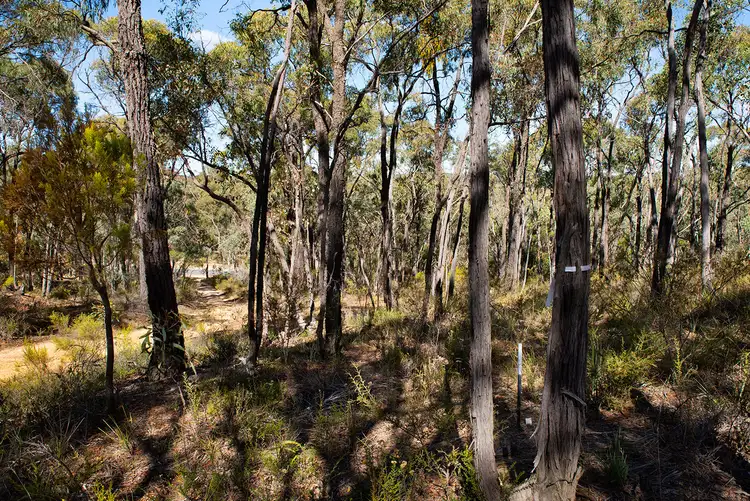 Seventh view of Homely land listing, LOT CA 3-7 & C Vaughan - Chewton Road, Chewton VIC 3451