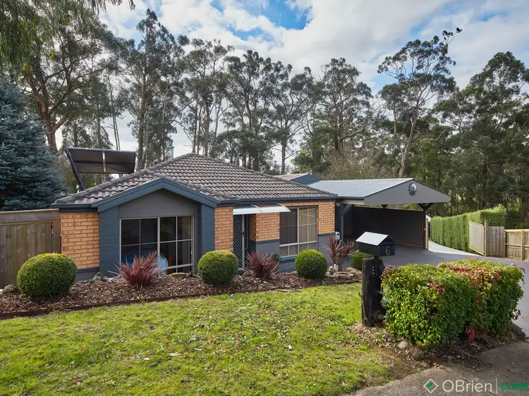 Main view of Homely house listing, 6 Andrew Court, Drouin VIC 3818