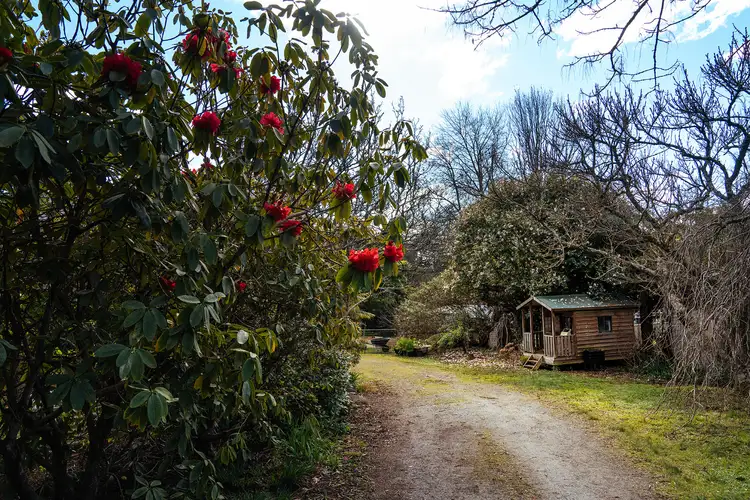 Second view of Homely house listing, 57 Emerald-Monbulk Road, Emerald VIC 3782